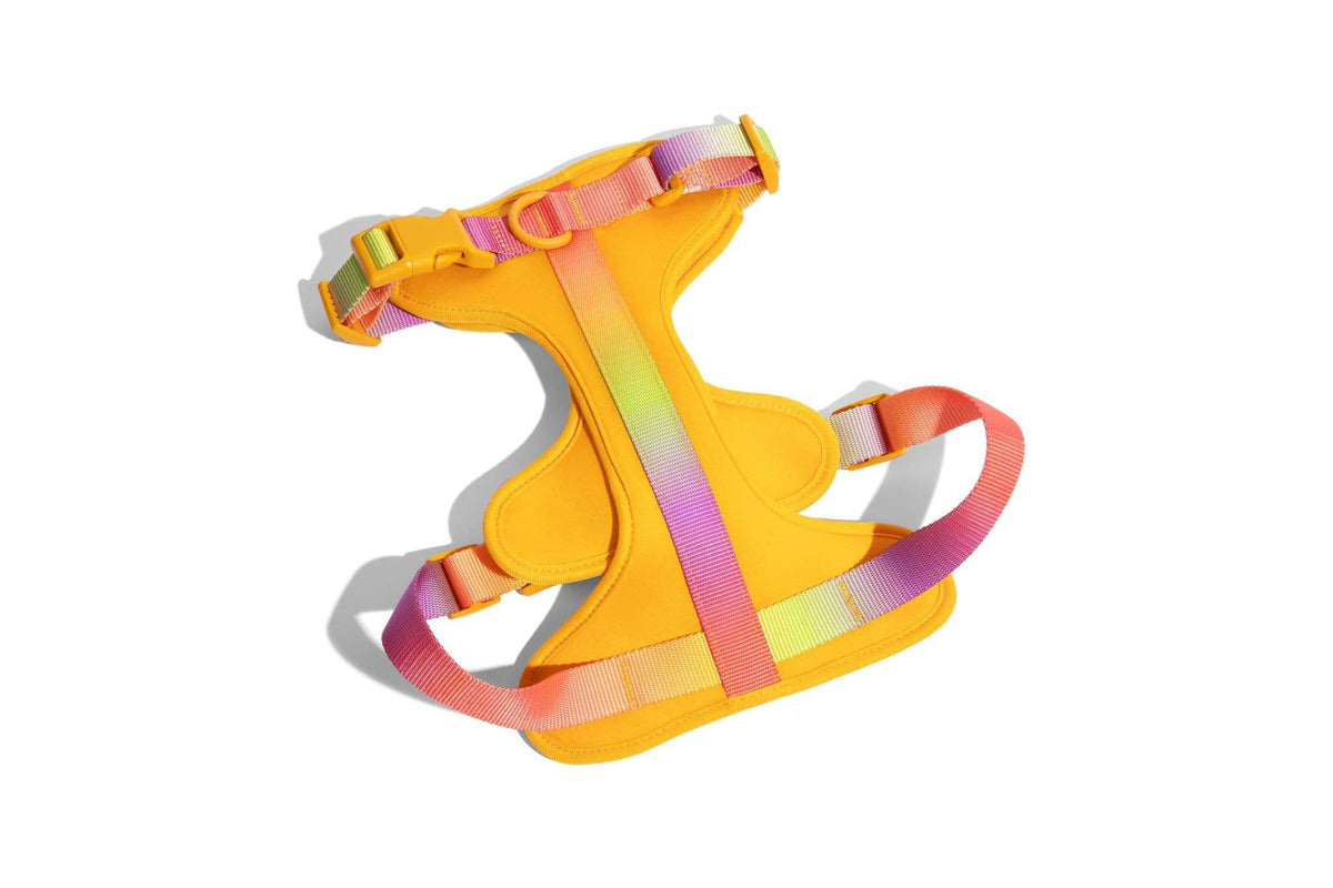 Kenna dog harness — additional photo 2