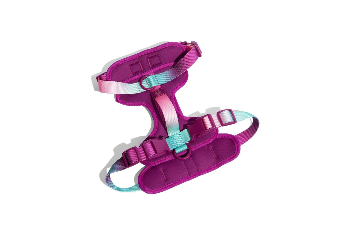 Joana – No-Pull Purple Dog Harness, 3 Leash Rings