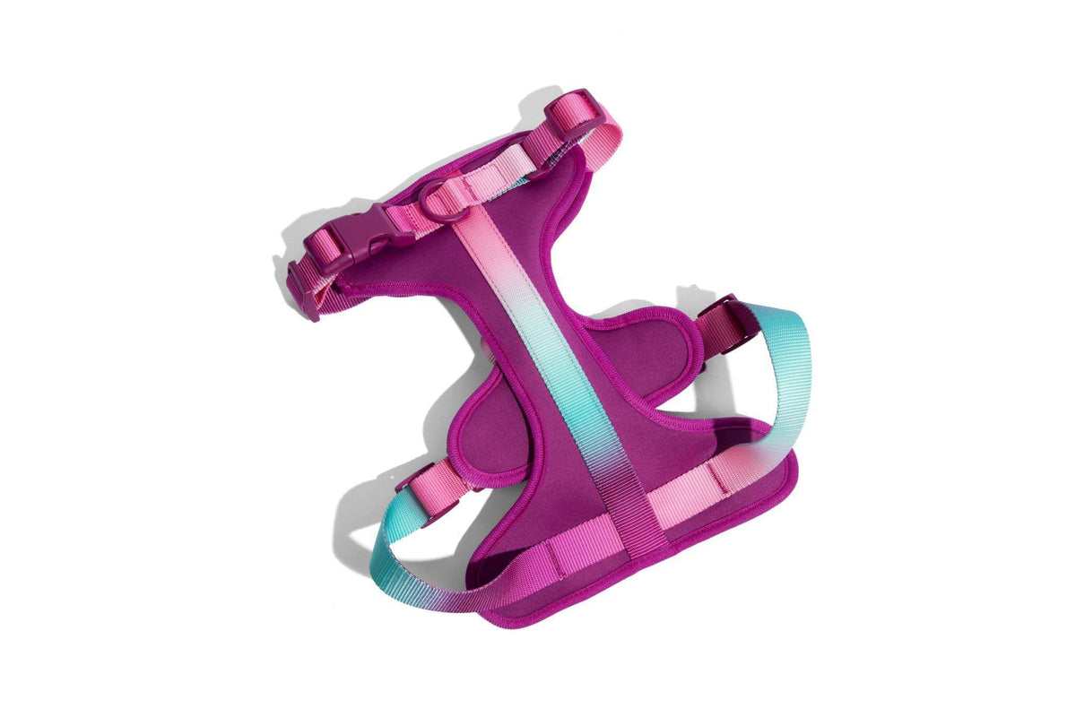 Joana dog harness — additional photo 2