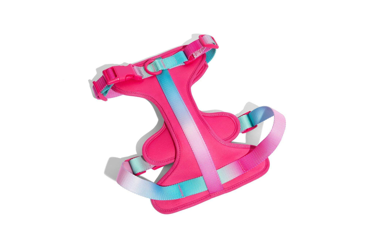 Stasia dog harness — additional photo 2