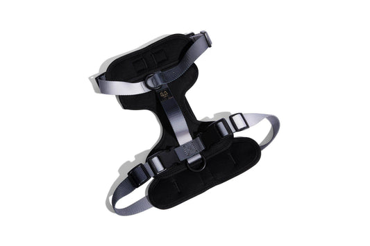 Rowan – No-Pull Black Dog Harness, 3 Leash Rings