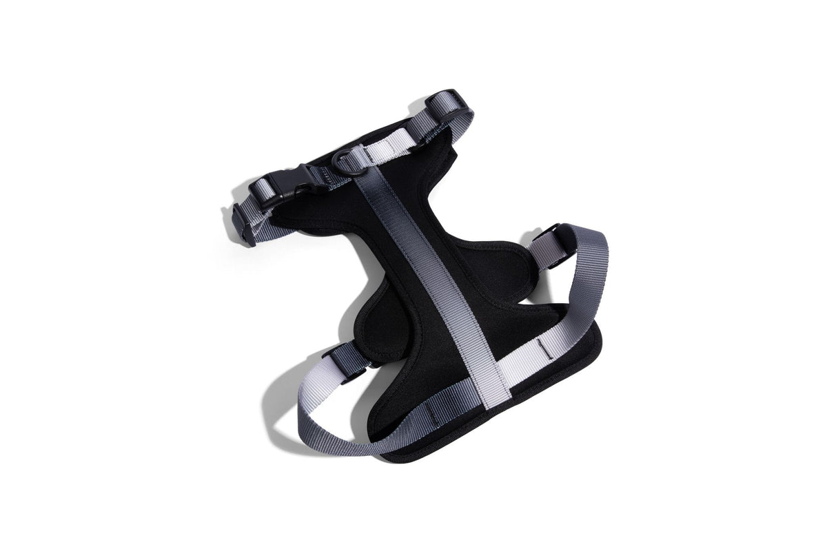 Rowan dog harness — additional photo 2